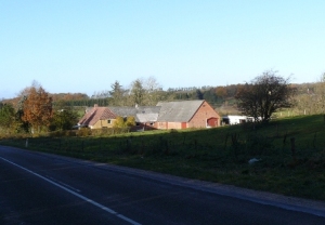Træholt