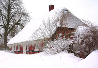 Vinter i Veddum