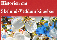 Slutrapport fra kirsebærprojekt