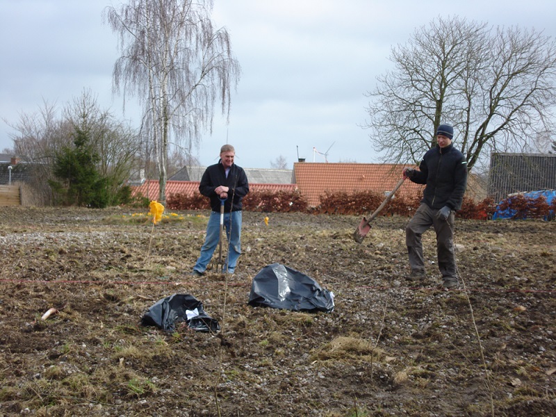 Plantning af byskov 2011
