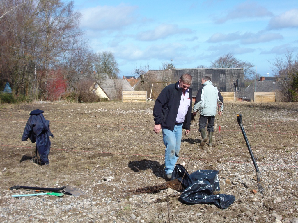 Plantning af byskov 2011