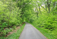 Solbjerg sønderskov