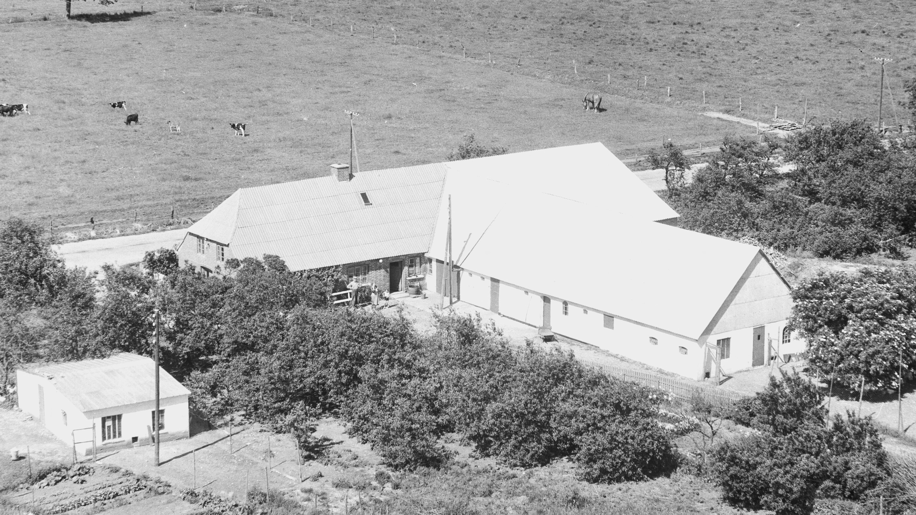 Hos Chr. Overgaard 1955 Sylvest Jensen Luftfoto;  Det Kgl. Bibliotek http://www.kb.dk/danmarksetfraluften/images/luftfo/2011/maj/luftfoto/object1891494