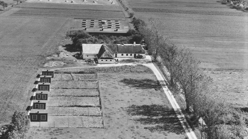 1955 Sylvest Jensen Luftfoto; Det Kgl. Bibliotek. http://www.kb.dk/danmarksetfraluften/images/luftfo/2011/maj/luftfoto/object1891566