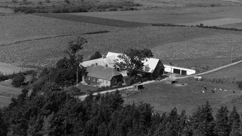 Hos Gunnar Kusk 1959. Sylvest Jensen Luftfoto; Det Kgl. Bibliotek http://www.kb.dk/danmarksetfraluften/images/luftfo/2011/maj/luftfoto/object510232