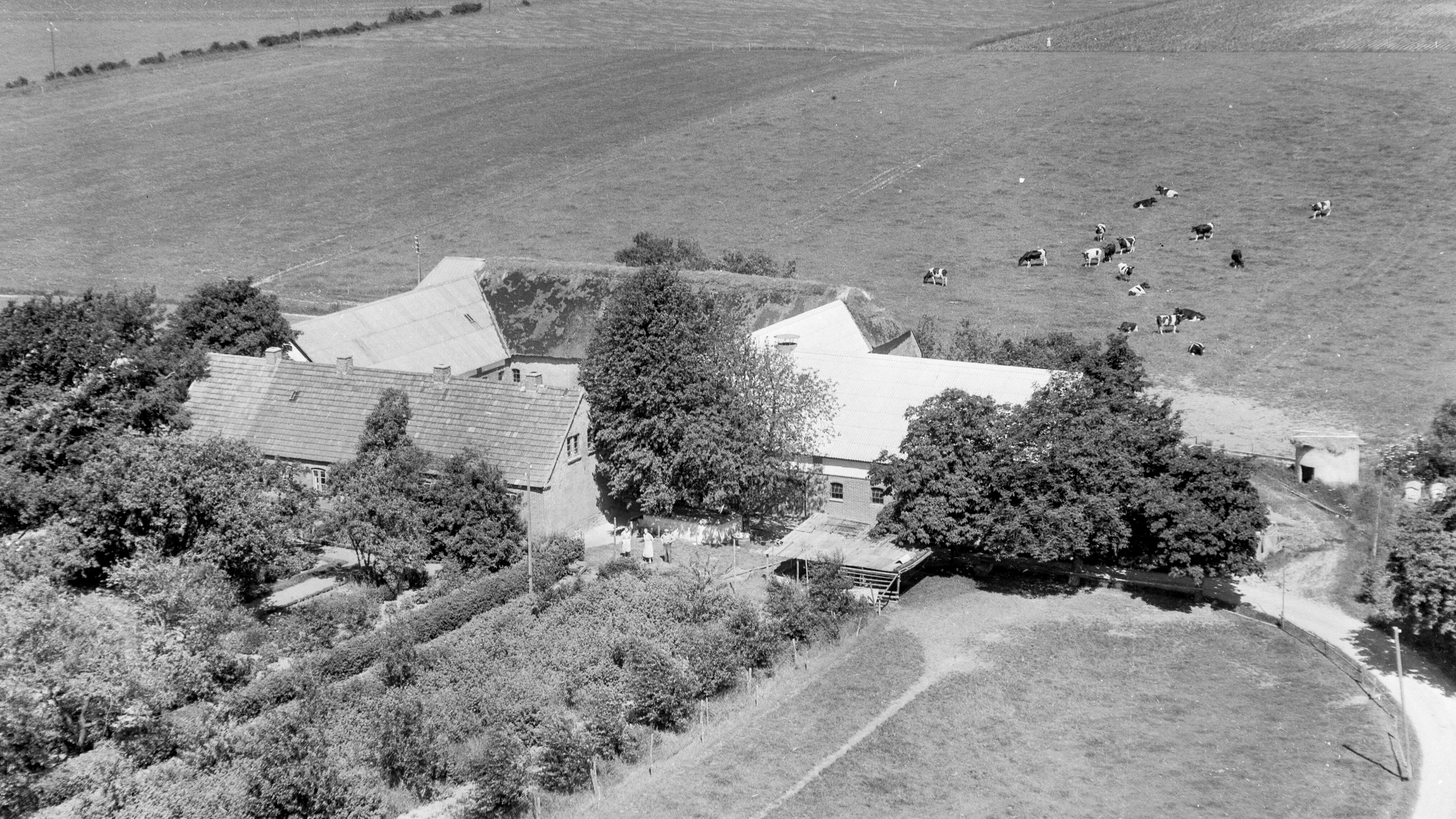 Hos Peter Laursen 1955 Sylvest Jensen Luftfoto;  Det Kgl. Bibliotek http://www5.kb.dk/danmarksetfraluften/images/luftfo/2011/maj/luftfoto/object1882031