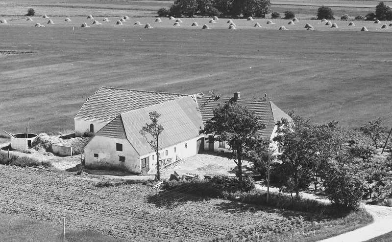 Hos Chr. Hansen 1955 Sylvest Jensen Luftfoto;  Det Kgl. Bibliotek http://www.kb.dk/danmarksetfraluften/images/luftfo/2011/maj/luftfoto/object1891507