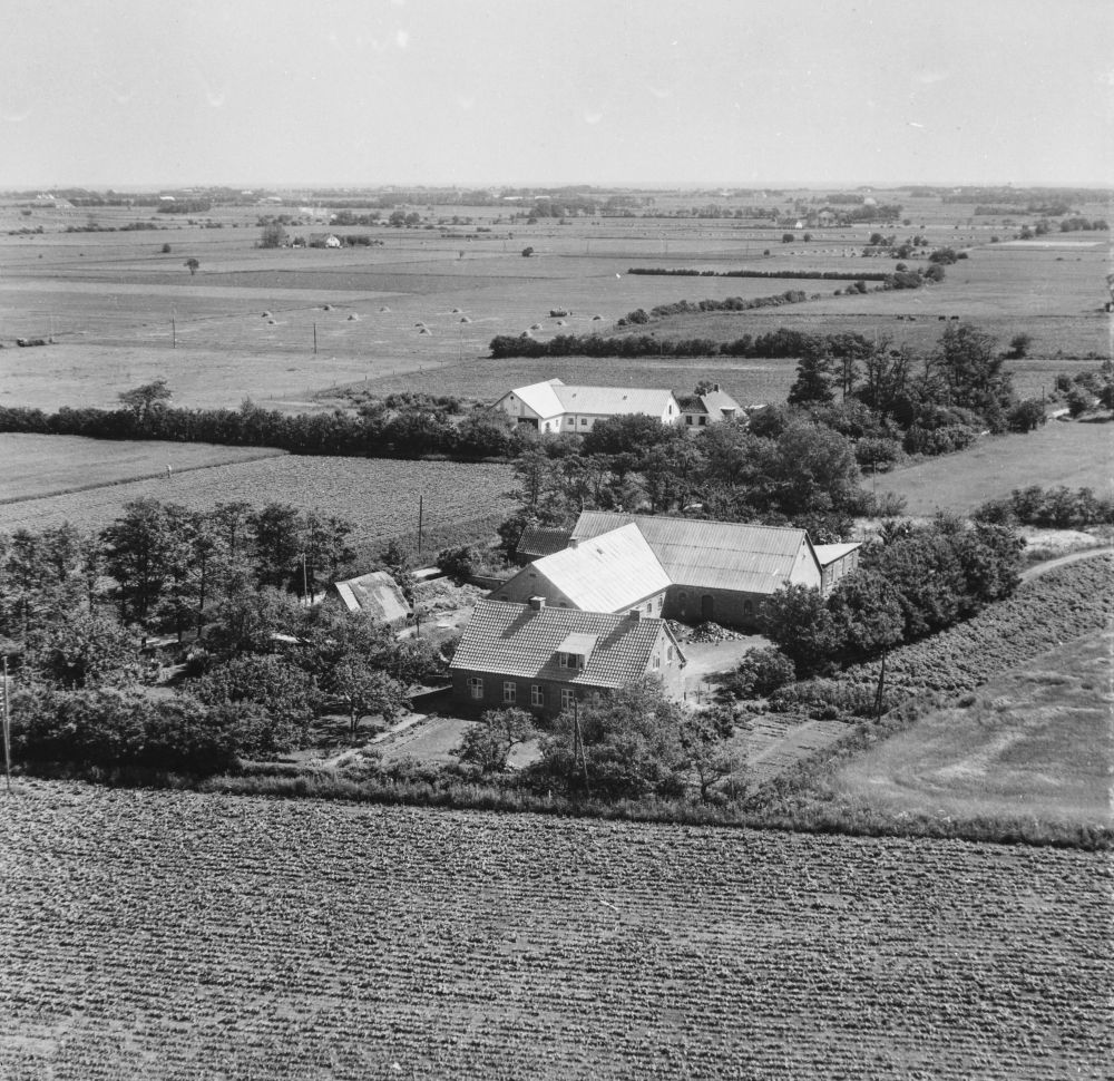Hos Agner Pedersen 1955 Sylvest Jensen Luftfoto;  Det Kgl. Bibliotek https://www.kb.dk/danmarksetfraluften/images/luftfo/2011/maj/luftfoto/object1879144