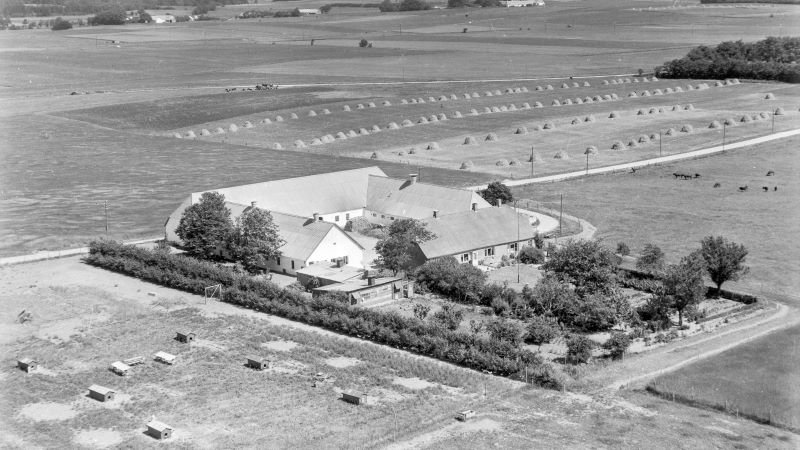 Mosebakgård 1955 Sylvest Jensen Luftfoto; Det Kgl. Bibliotek.
http://www5.kb.dk/danmarksetfraluften/images/luftfo/2011/maj/luftfoto/object1882036