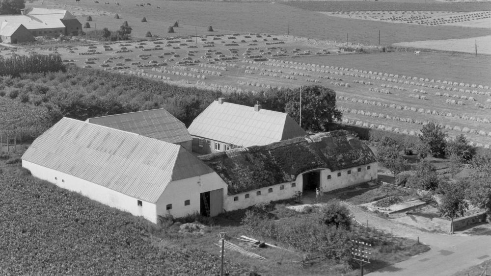 Hos Martin Jensen 1954 Aalborg Luftfoto;  Det Kgl. Bibliotek https://www.kb.dk/danmarksetfraluften/images/luftfo/2011/maj/luftfoto/object2207127