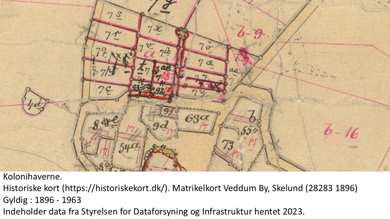 kolonihaverne