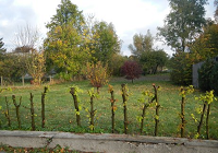 VeddumHovedgade 15