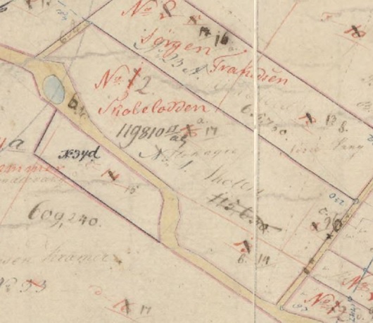 Skolelodden stakte sig fra Hovedgaden 35 til Rønholtvej. 6 6/8 Td. land, meget god og nær ved skolen. Her holdes 6 kreaturer samt en stor have, som giver betydelig frugt i 1859. Den er siden solgt og udstykket. Matrikelkort. Original 1. Veddum By, Skelund (0641052), 1814-1866, 1:4000 (gst.dk)